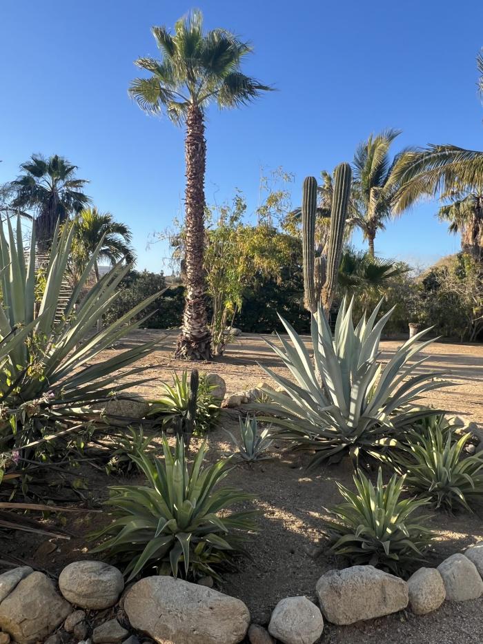 Casa Baja Huerta